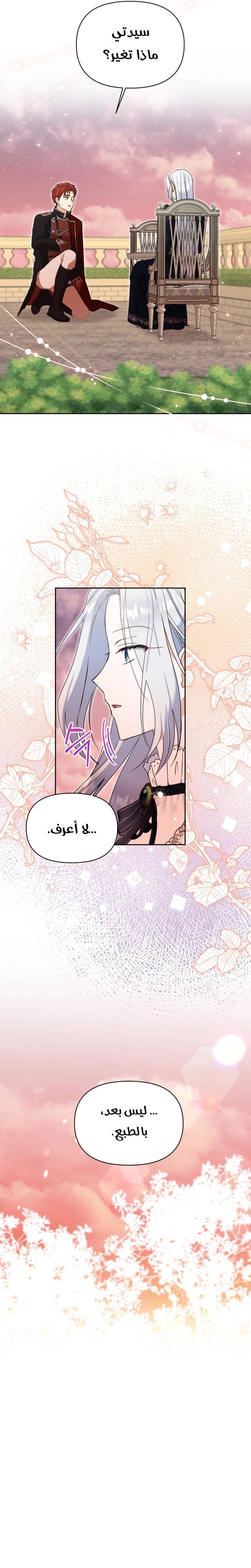 الصفحة 14