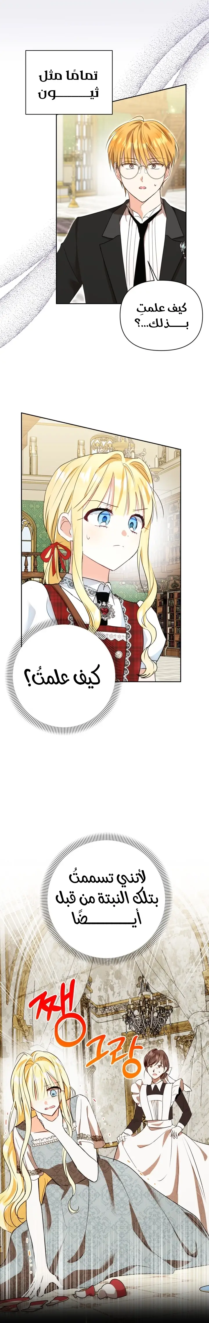 الصفحة 13