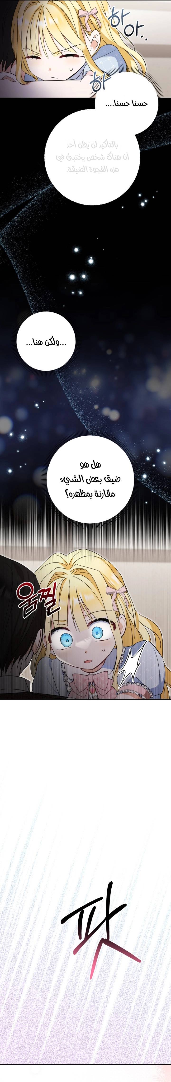 الصفحة 24