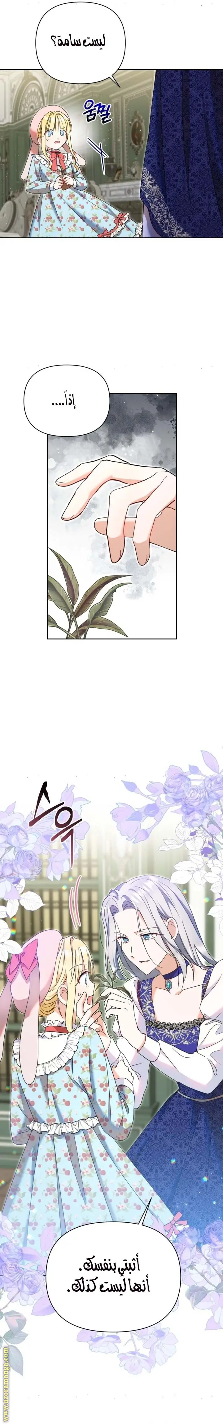 الصفحة 13