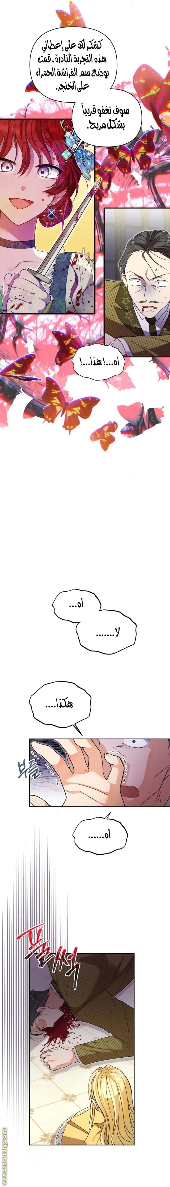 الصفحة 13