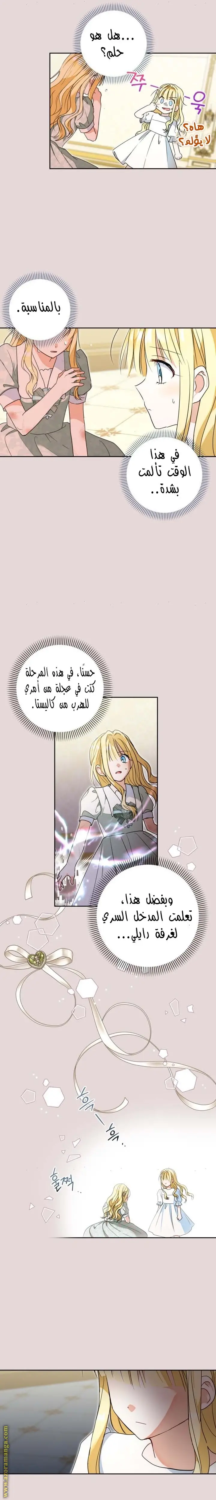 الصفحة 19