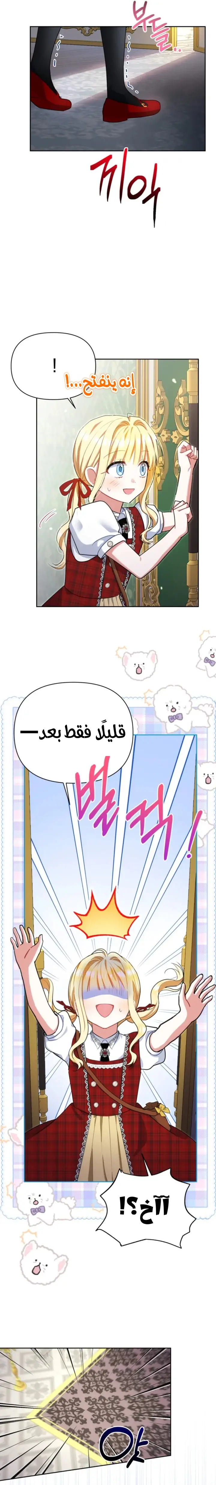 الصفحة 17