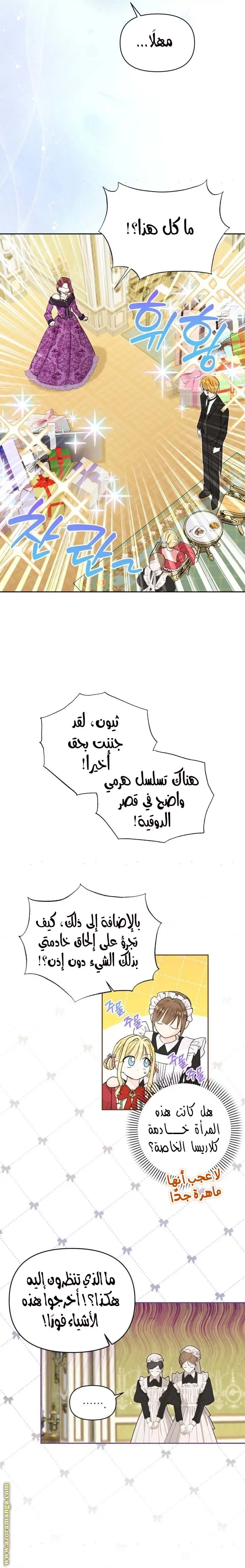 الصفحة 13