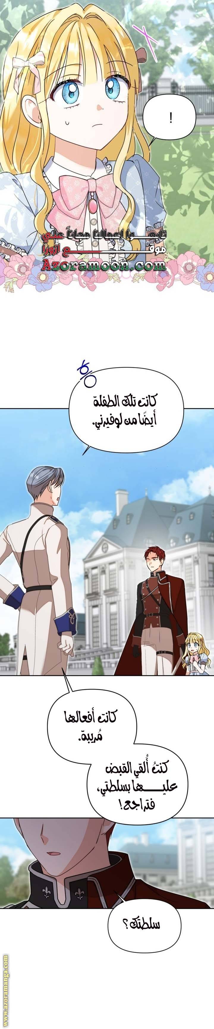 الصفحة 17