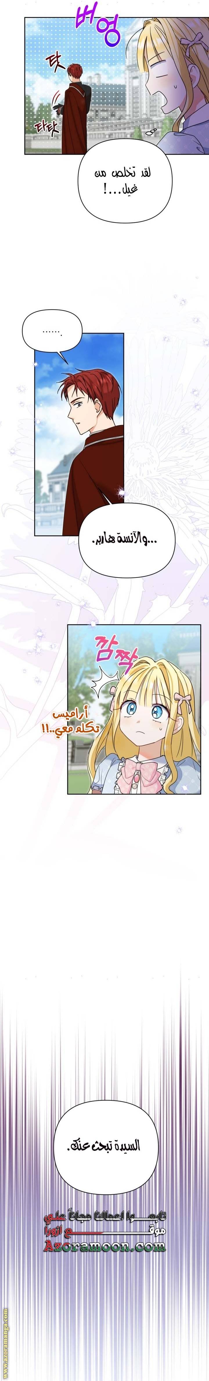 الصفحة 25
