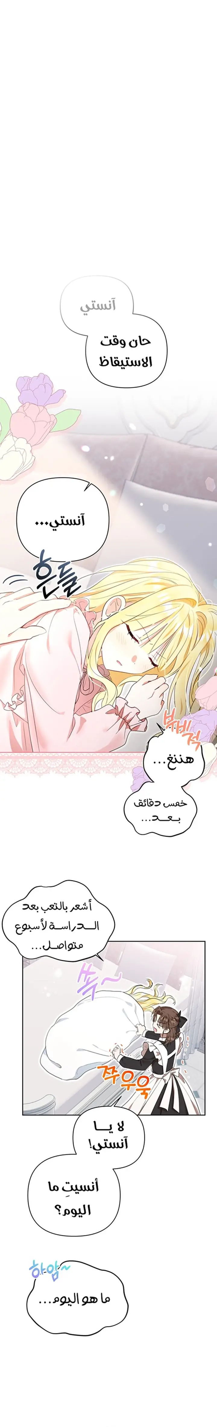 الصفحة 8