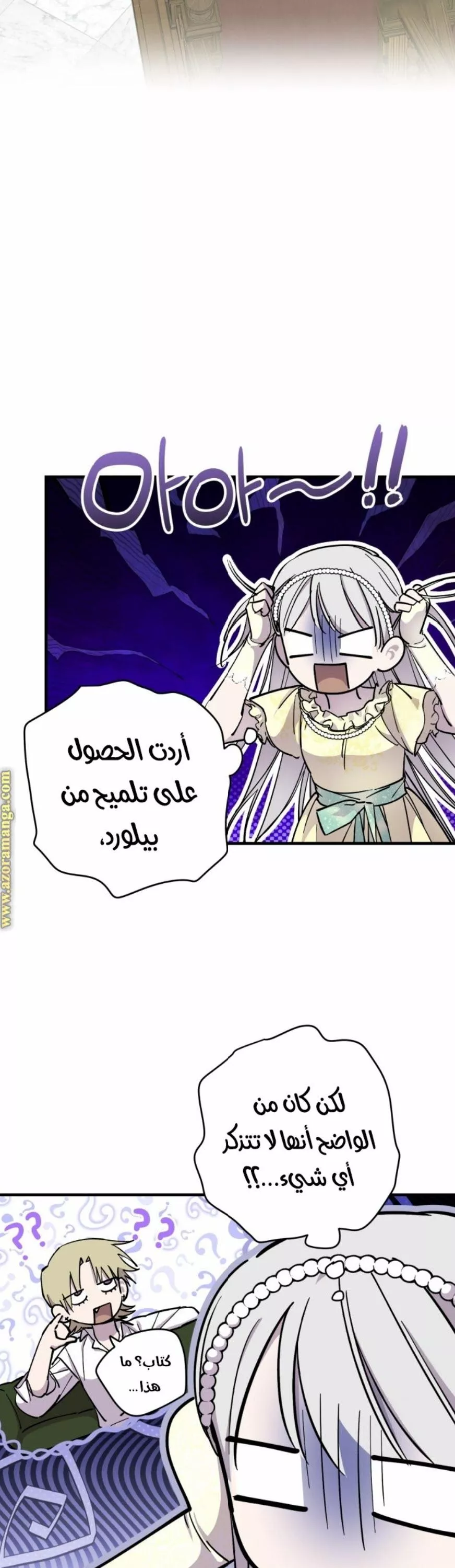 الصفحة 17