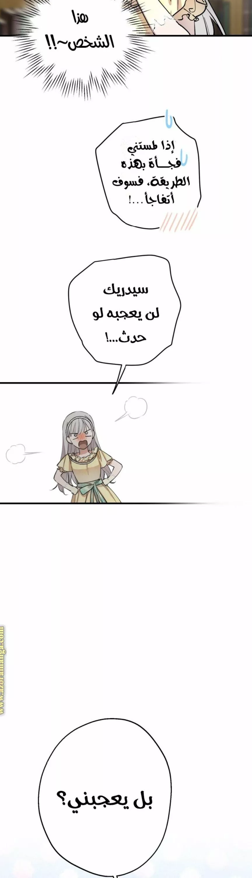 الصفحة 21