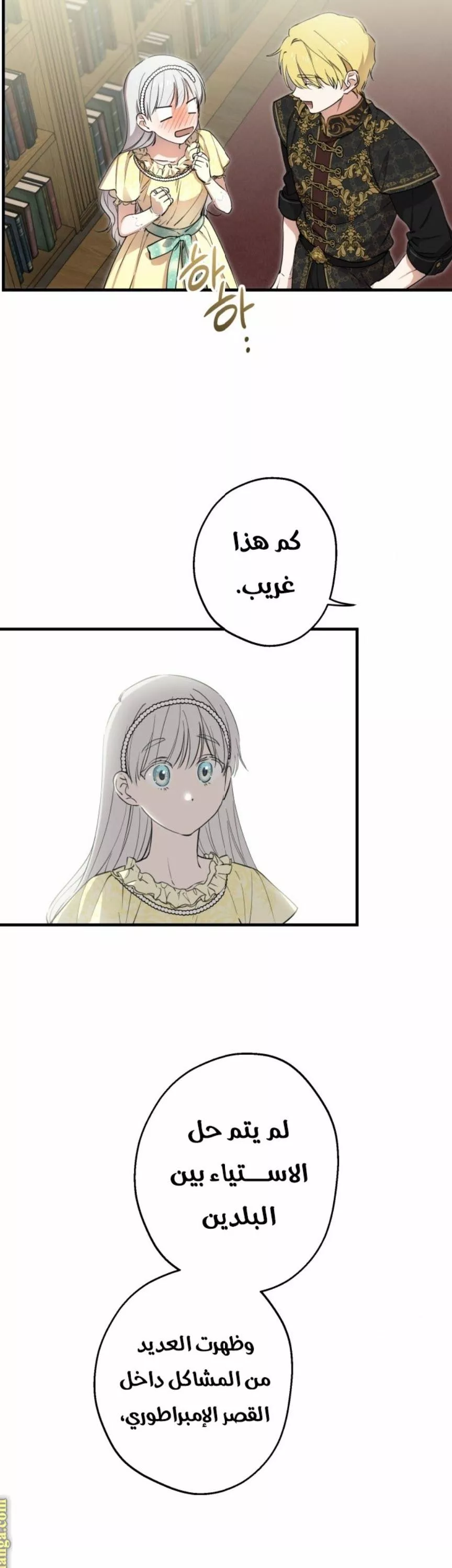 الصفحة 23