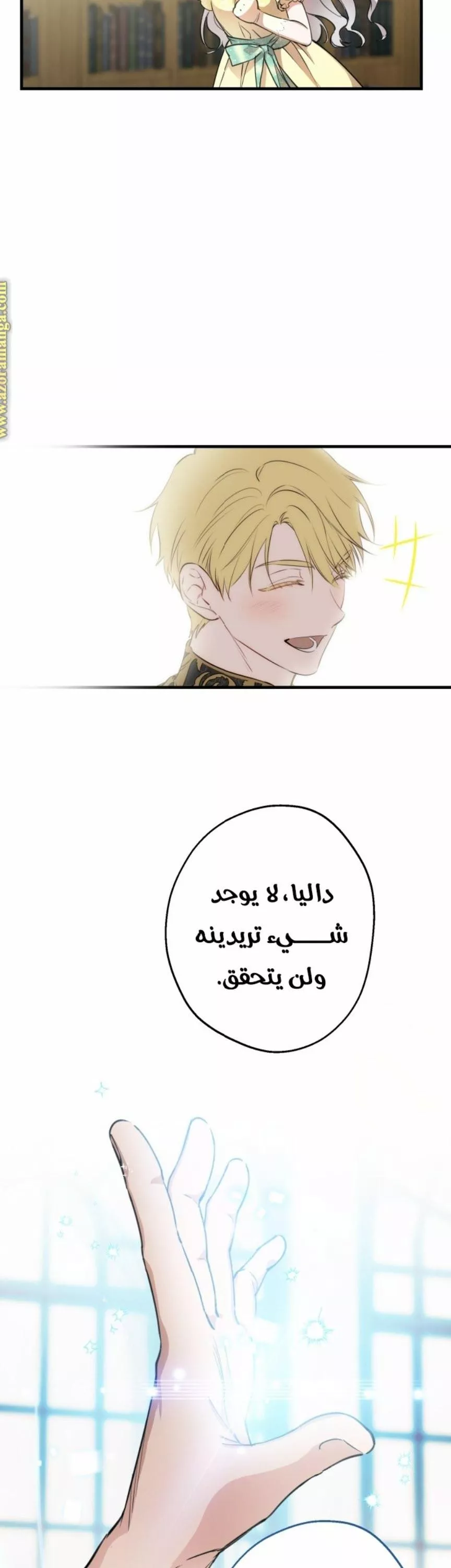 الصفحة 25