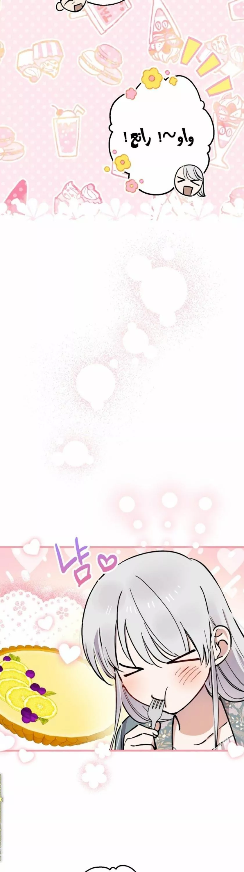 الصفحة 15