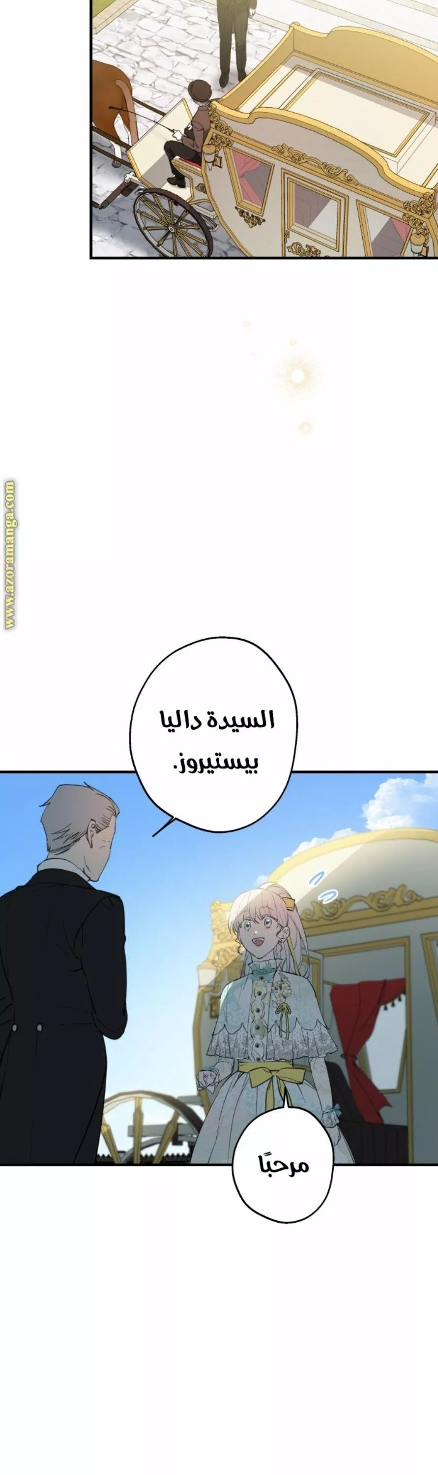 الصفحة 29