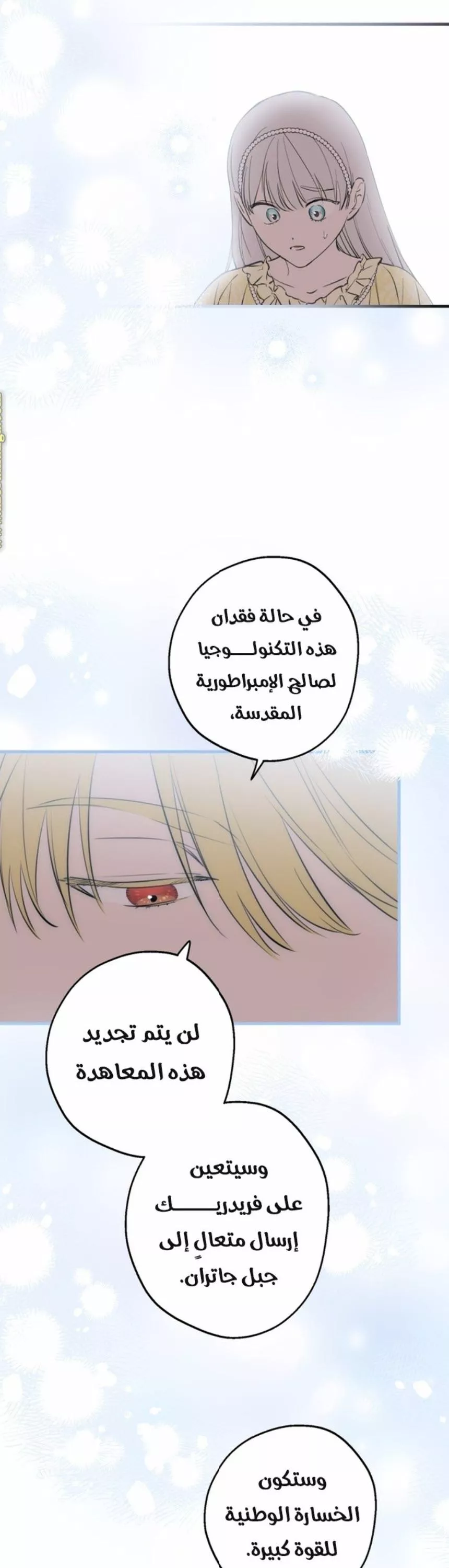 الصفحة 17