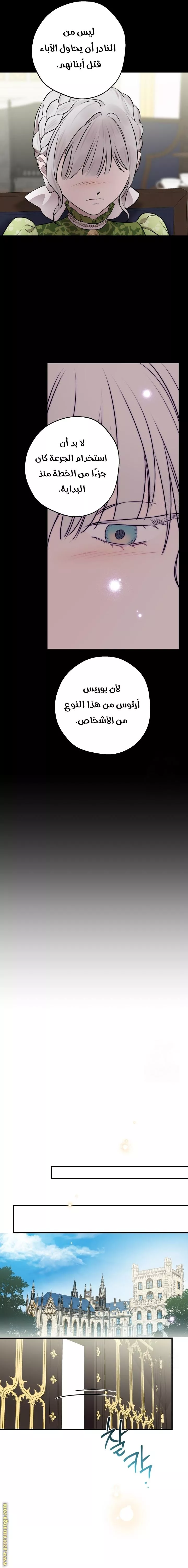 الصفحة 13