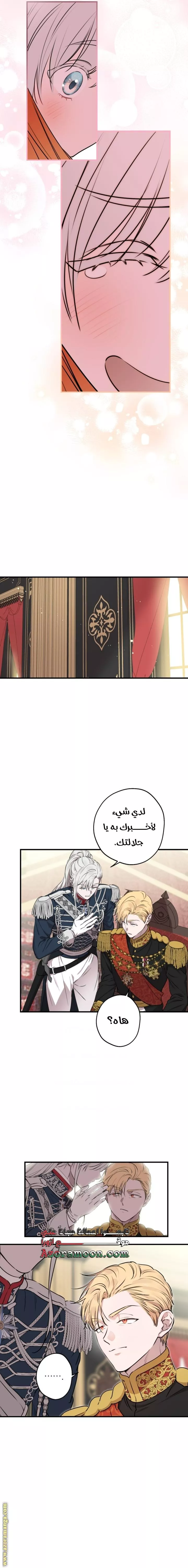 الصفحة 16
