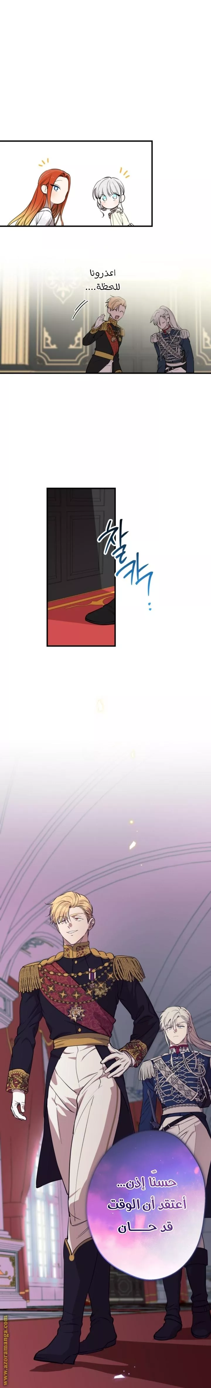 الصفحة 17