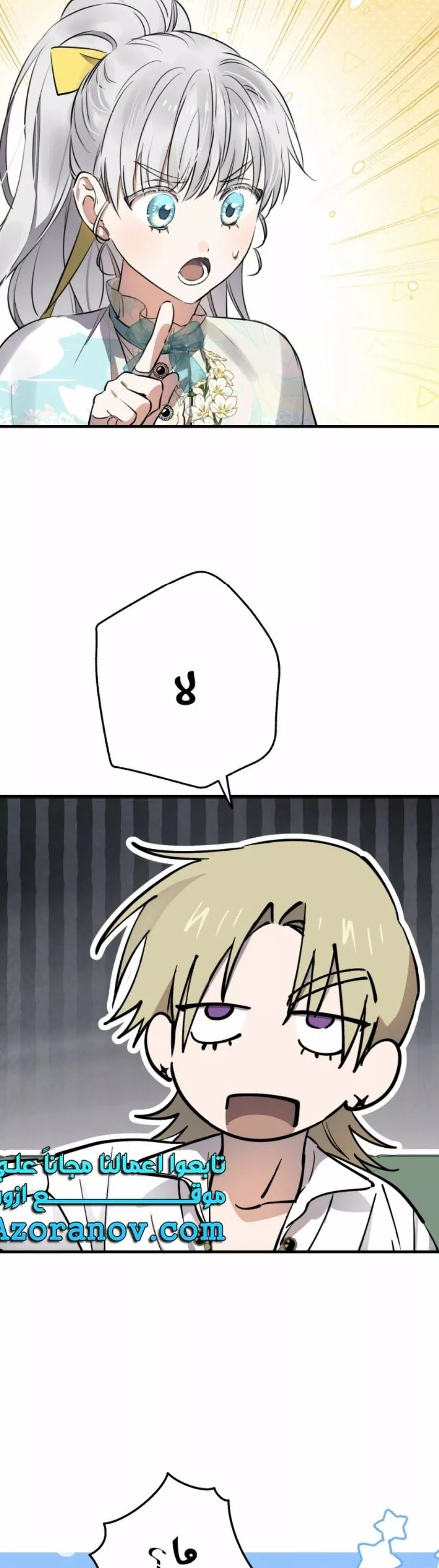 الصفحة 29