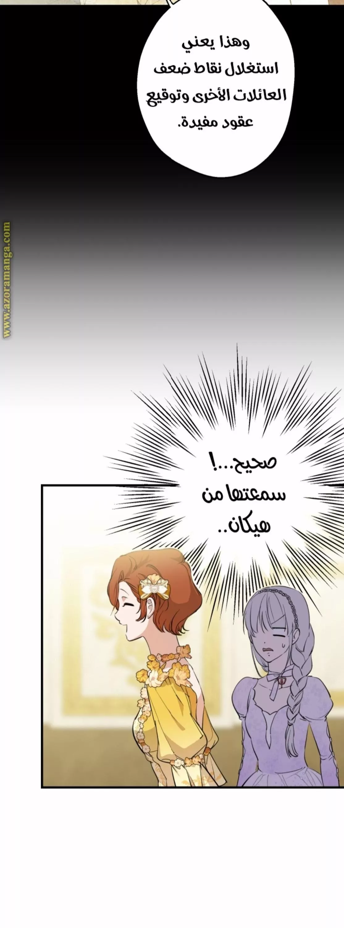الصفحة 28