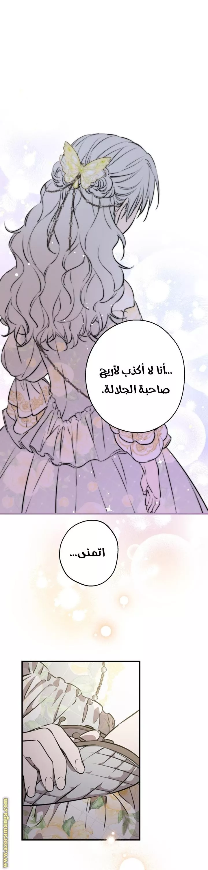 الصفحة 17