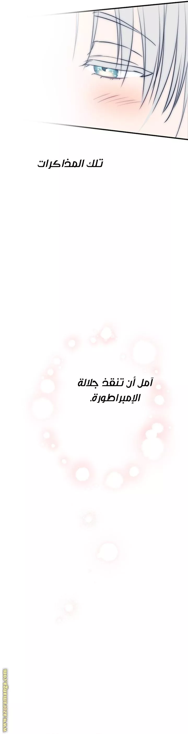 الصفحة 26
