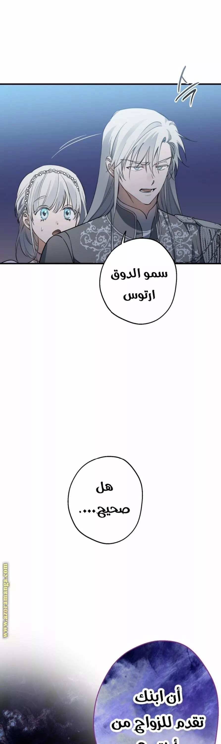 الصفحة 13