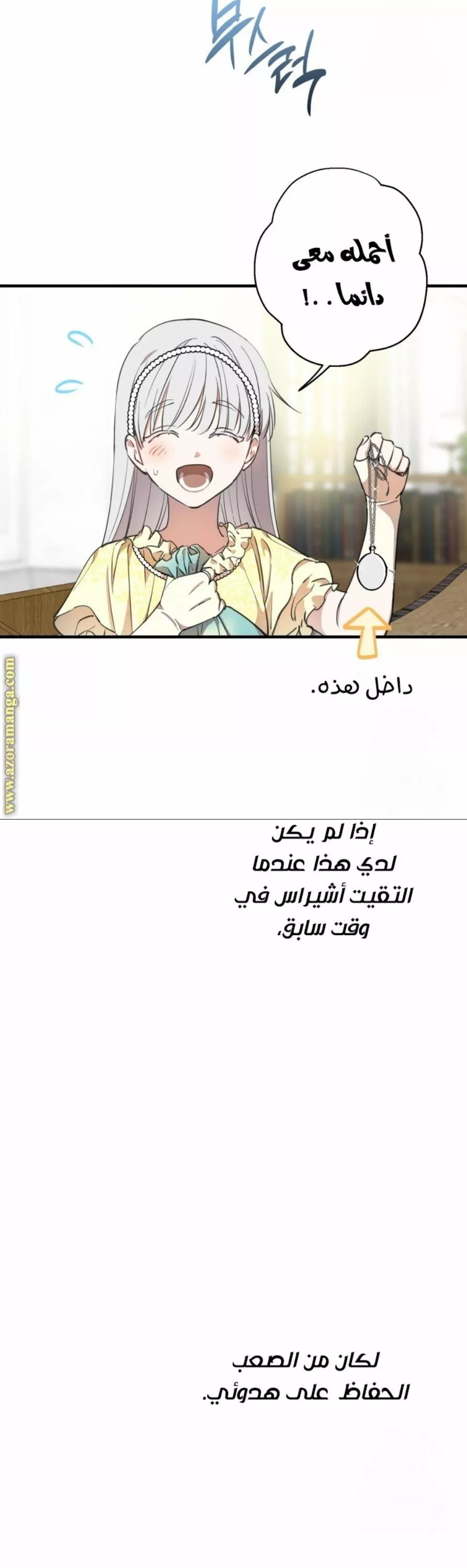 الصفحة 11