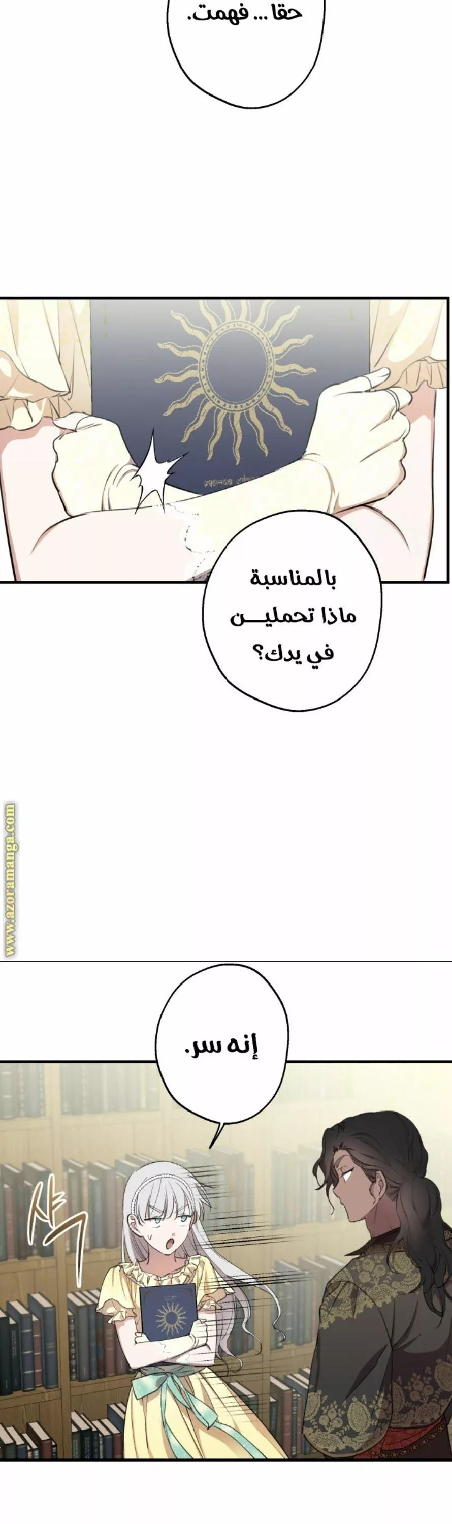 الصفحة 29