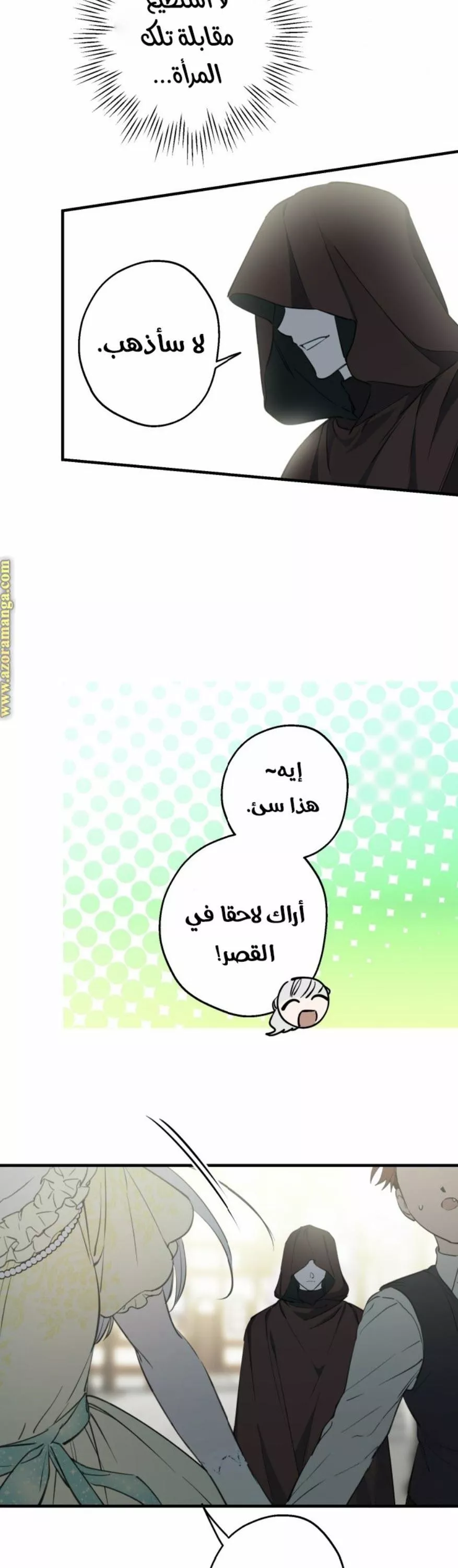 الصفحة 11