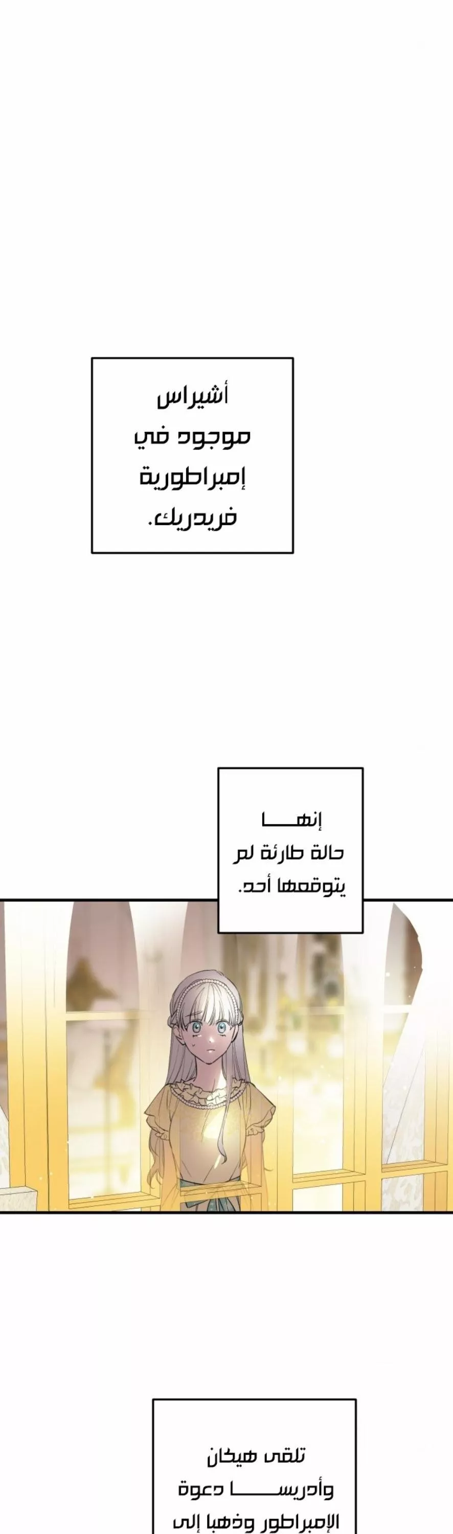 الصفحة 22