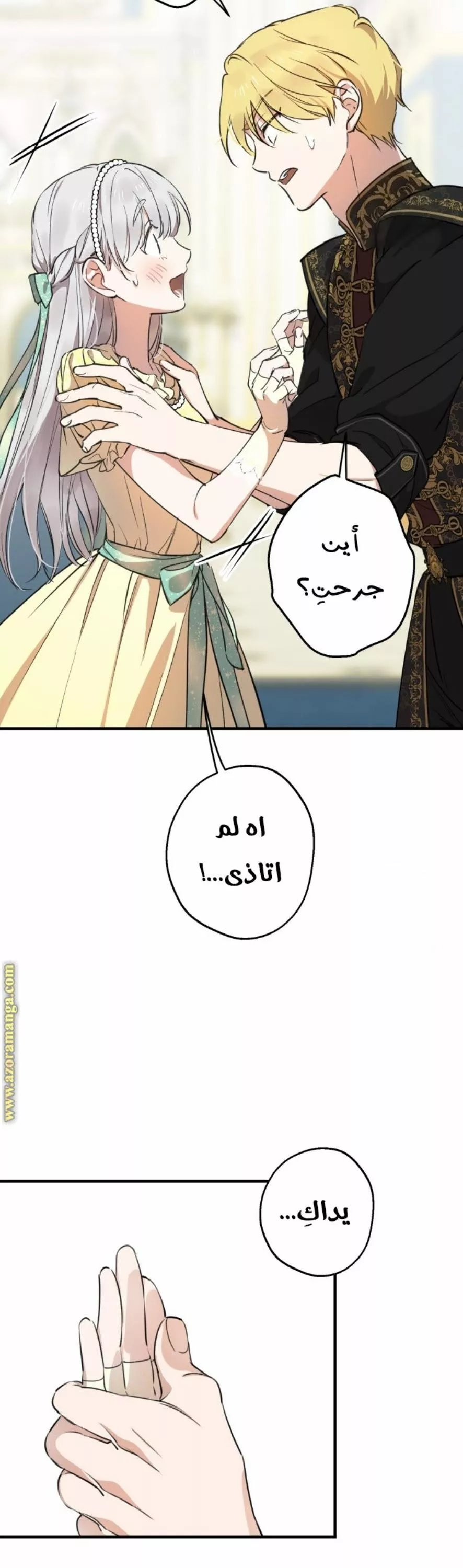 الصفحة 26