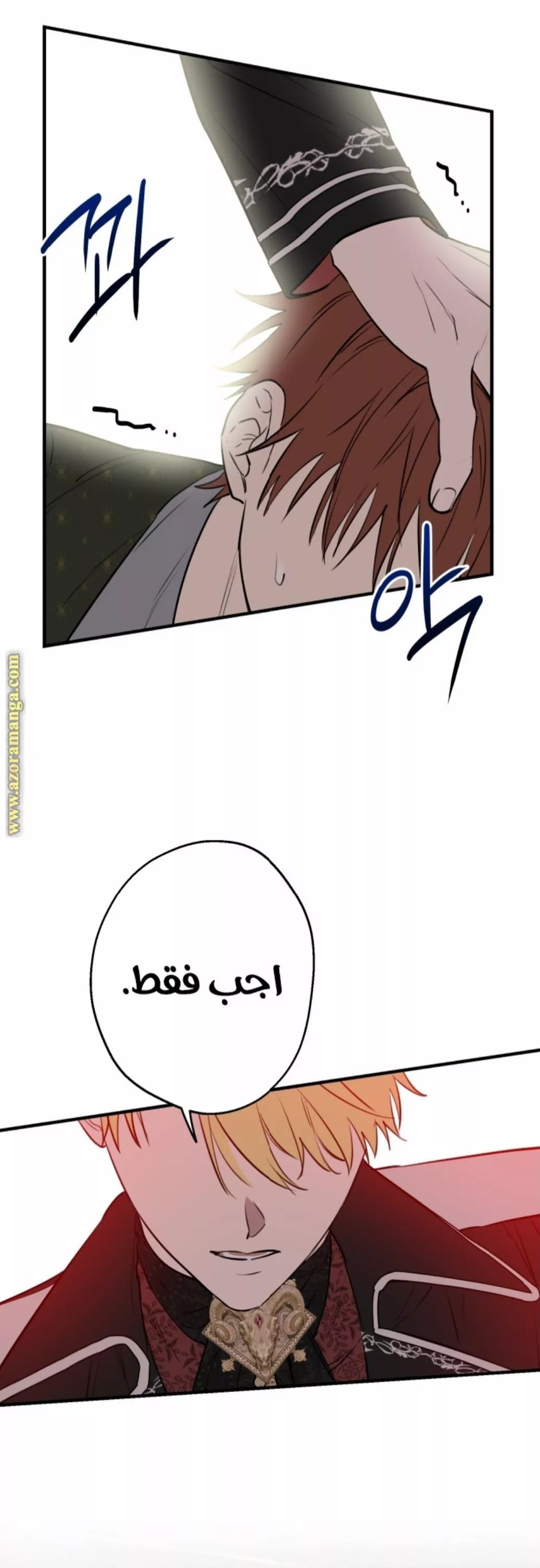 الصفحة 19