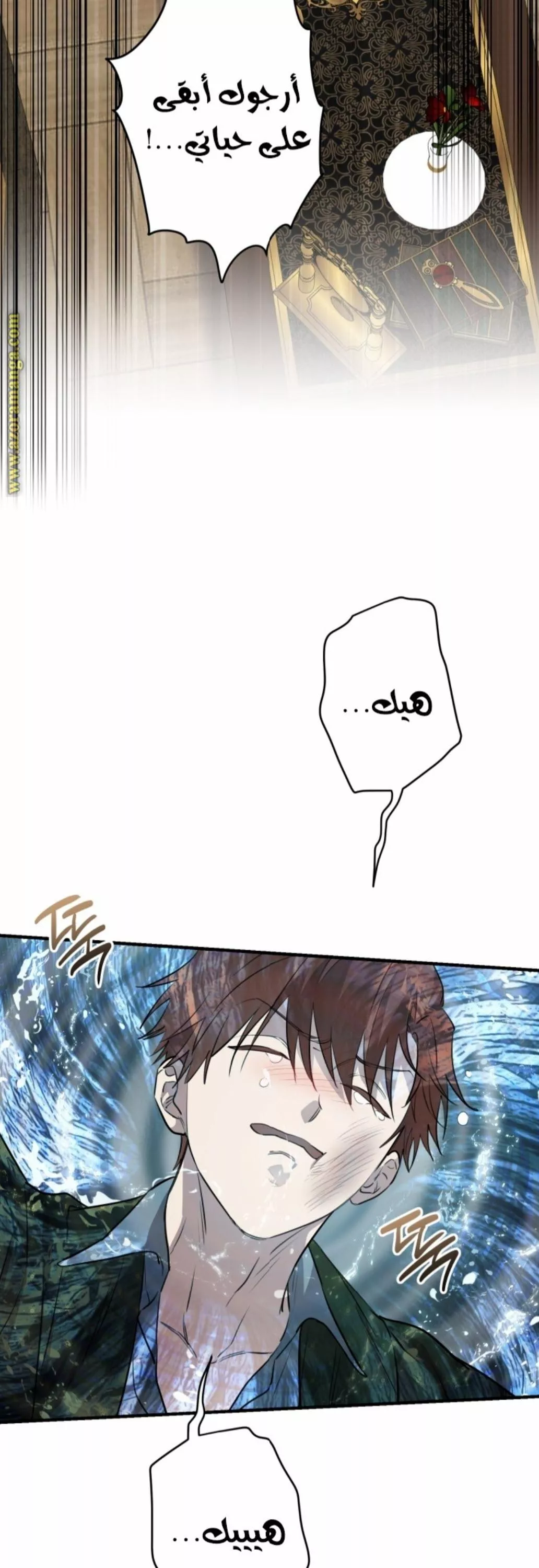 الصفحة 27