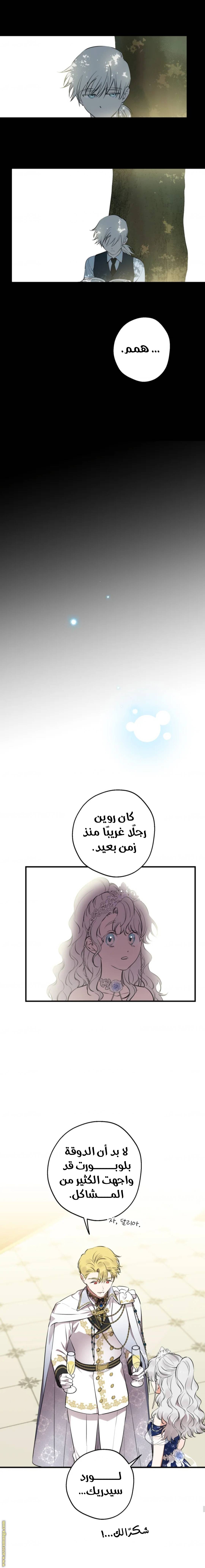 الصفحة 13