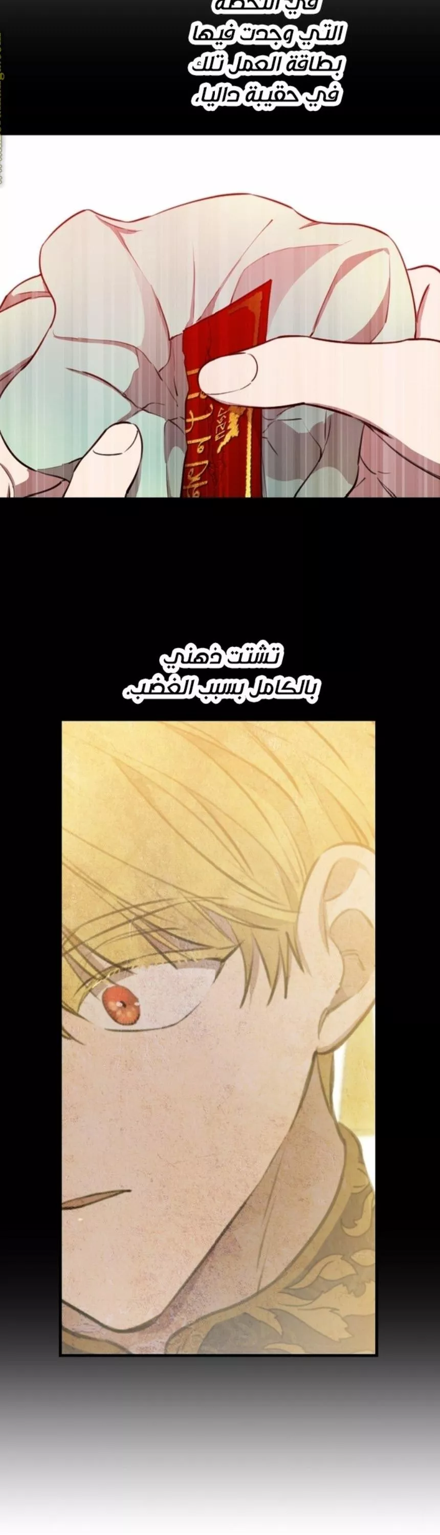 الصفحة 29