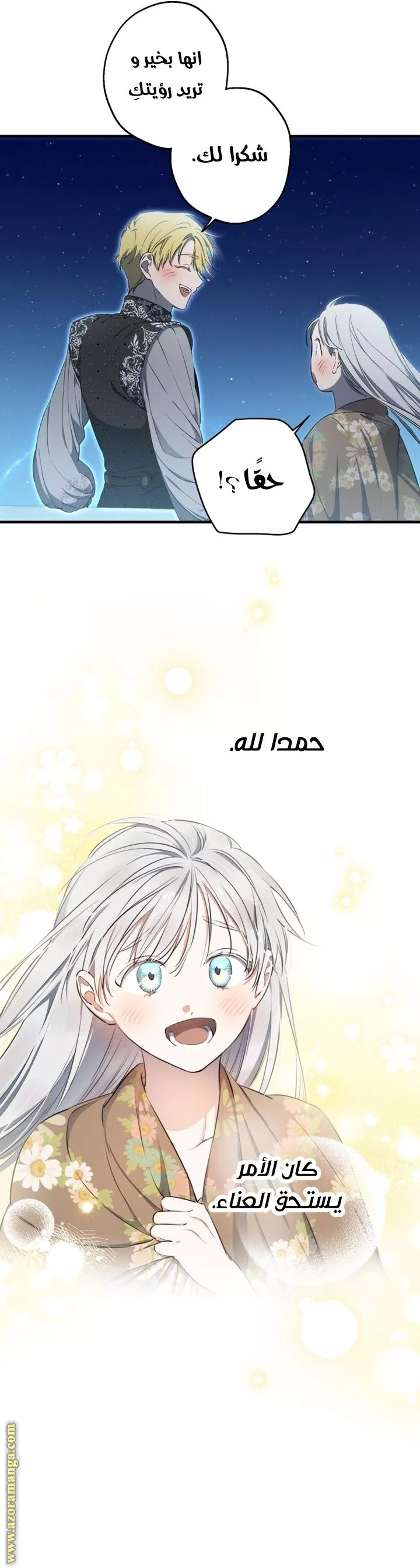 الصفحة 17