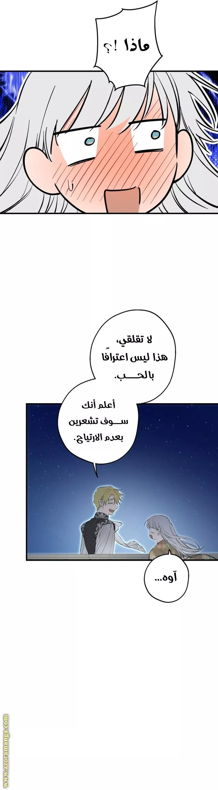 الصفحة 19