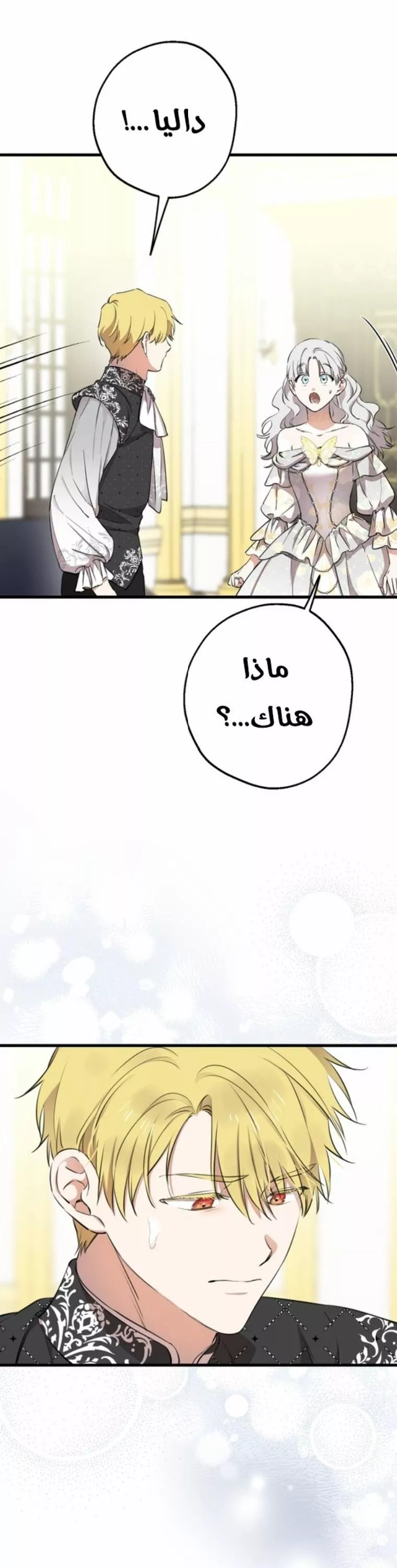 الصفحة 24