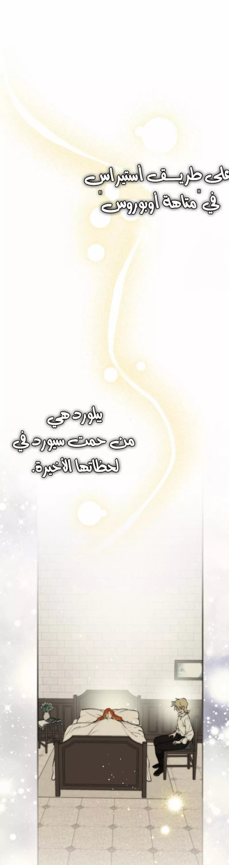 الصفحة 24