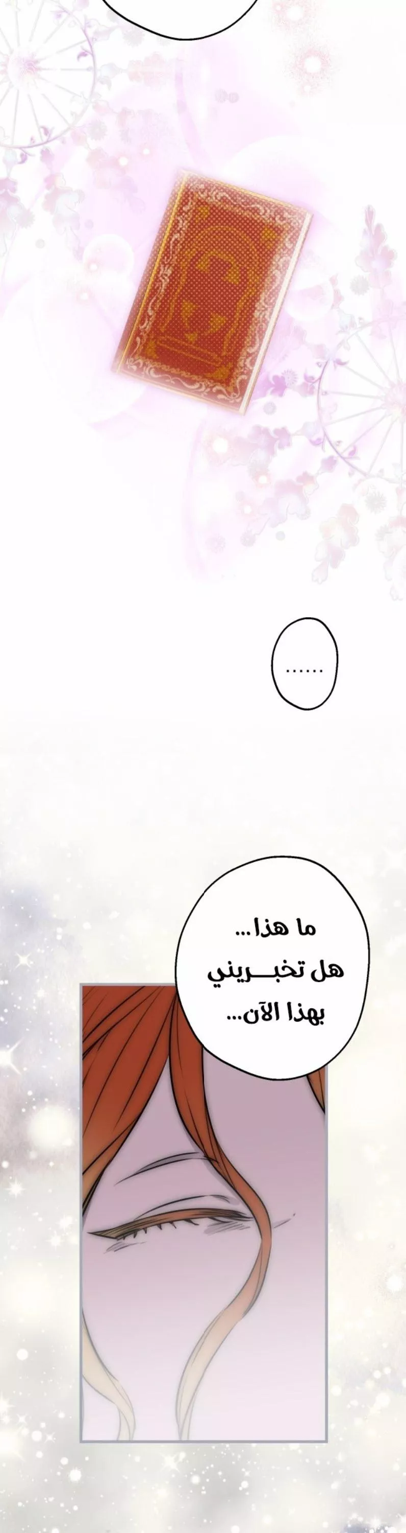 الصفحة 27