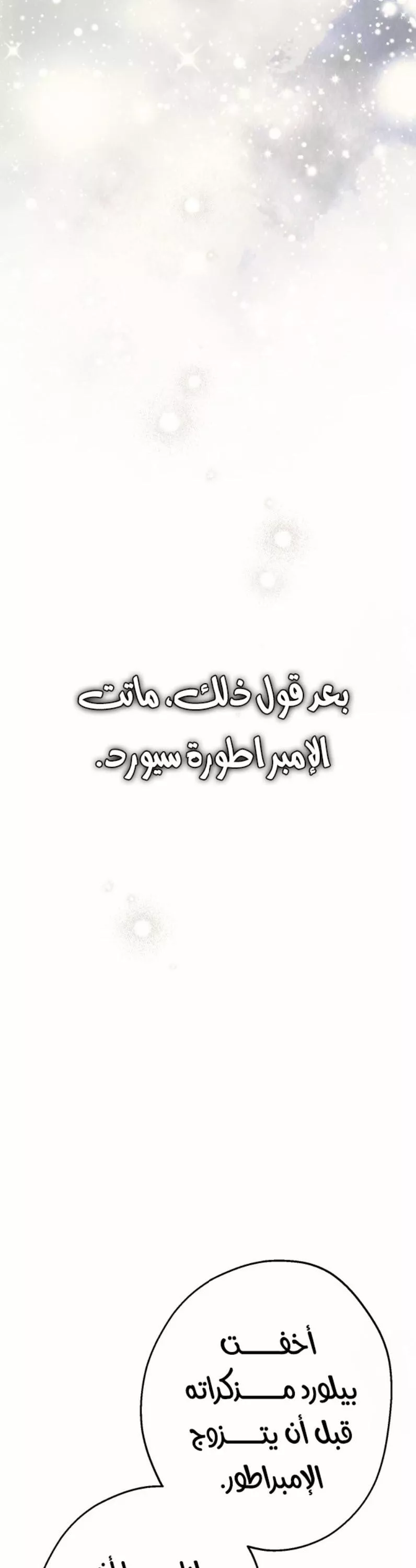 الصفحة 28