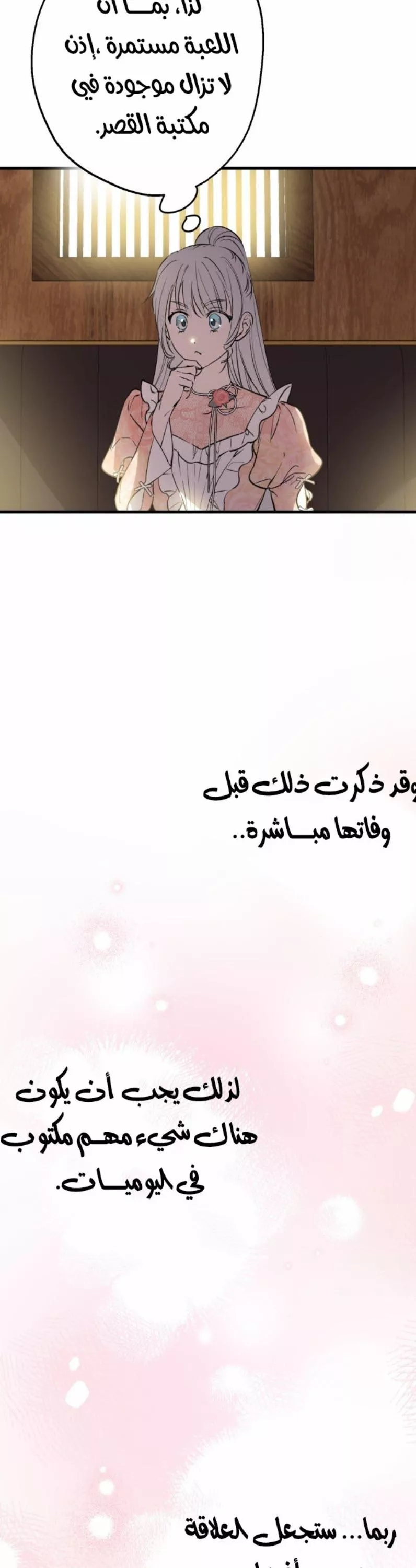الصفحة 29