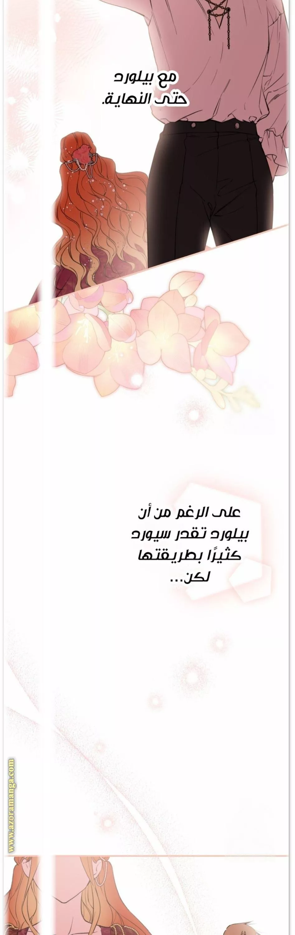 الصفحة 17