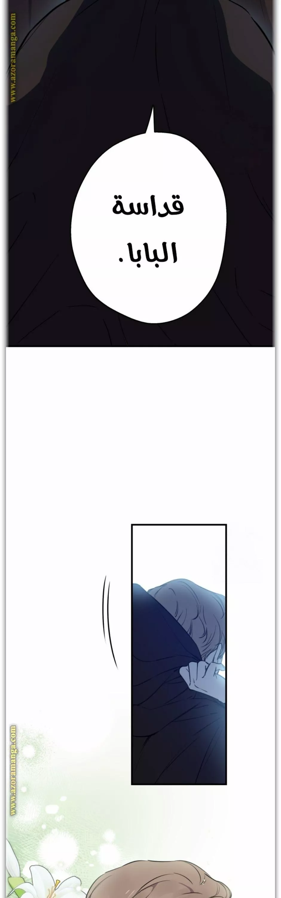 الصفحة 31