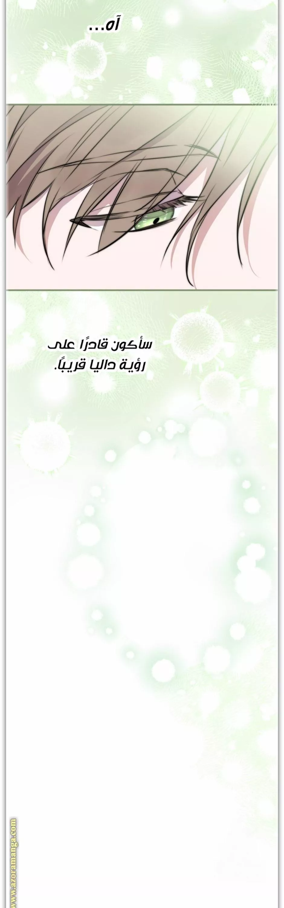 الصفحة 38