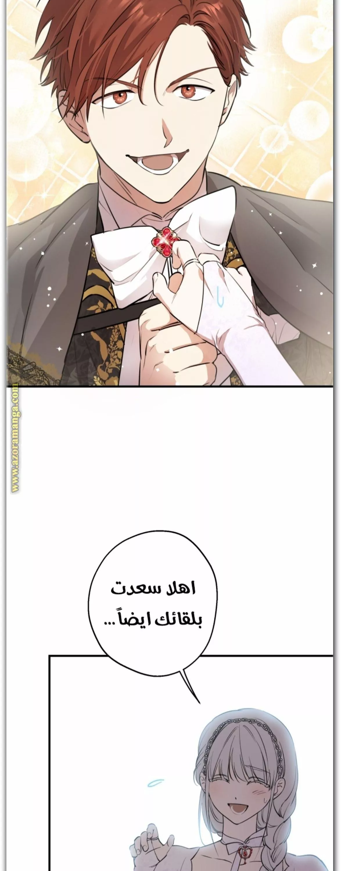 الصفحة 13
