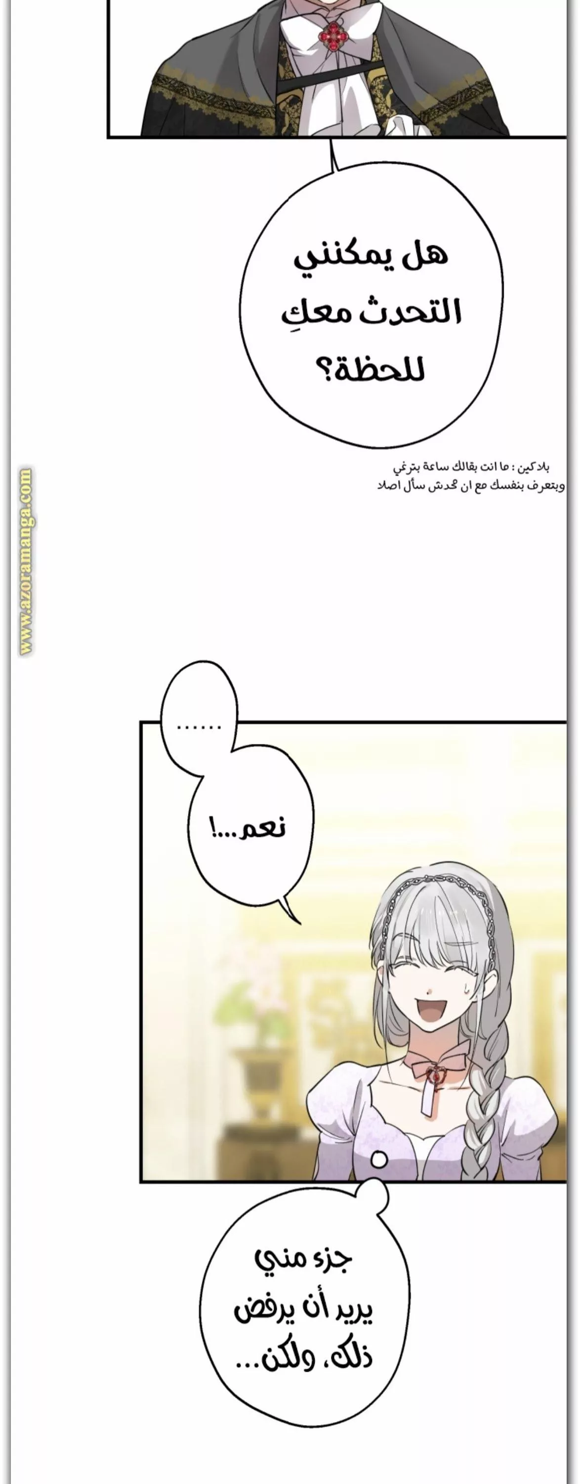 الصفحة 17