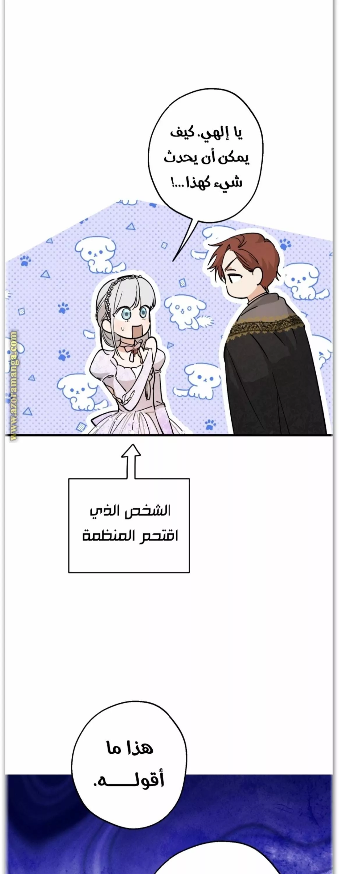 الصفحة 28