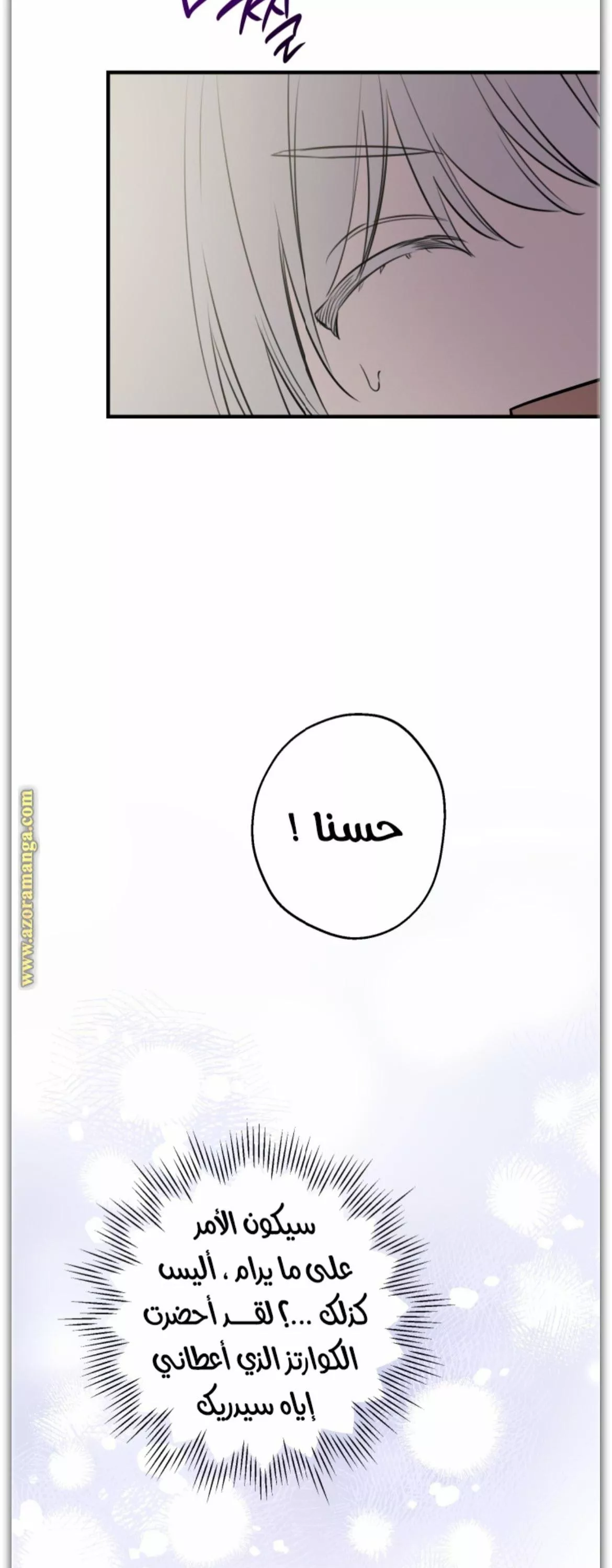 الصفحة 31