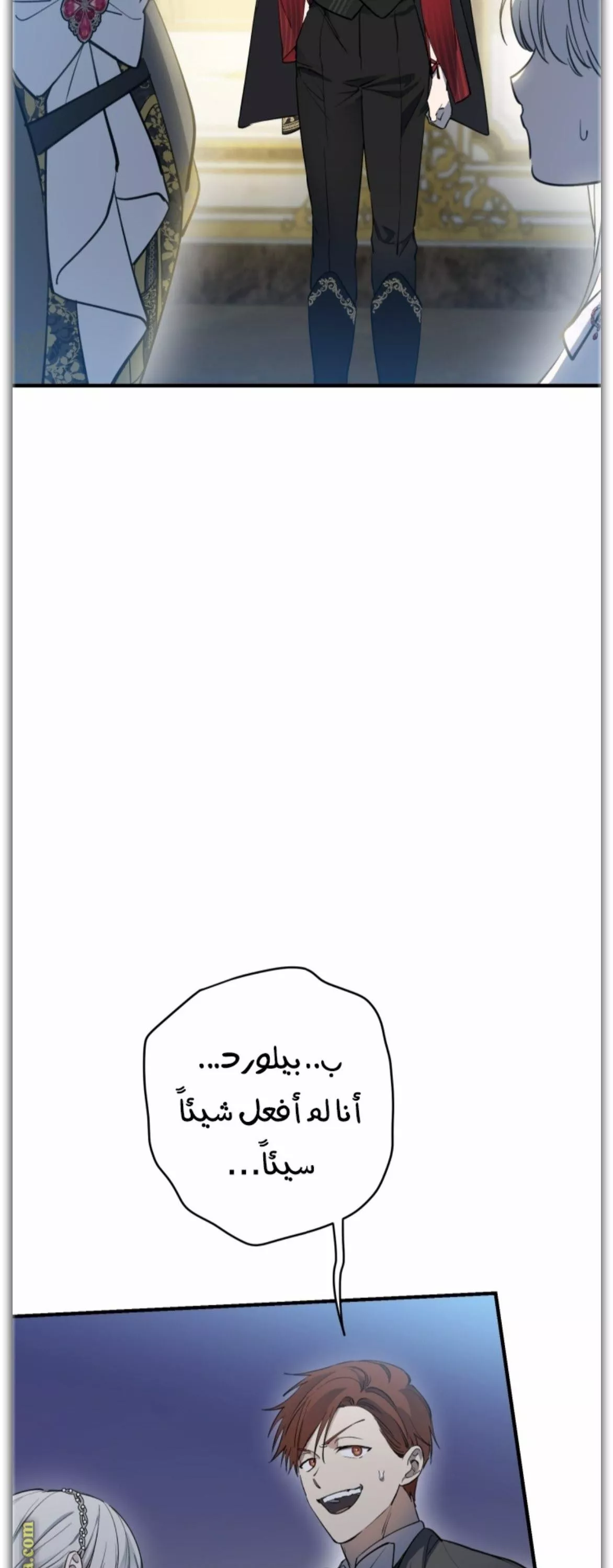 الصفحة 47